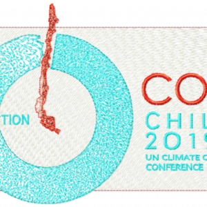 APEC_COP_2019_200-200