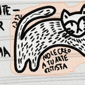 GATO_NO_CLASISTA_200-280