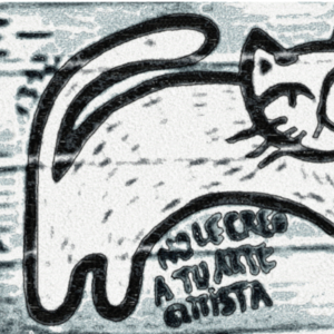 GATO_NO_CLASISTA_B-N_200-280