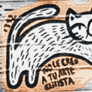 GATO_NO_CLASISTA_ESF_200-280